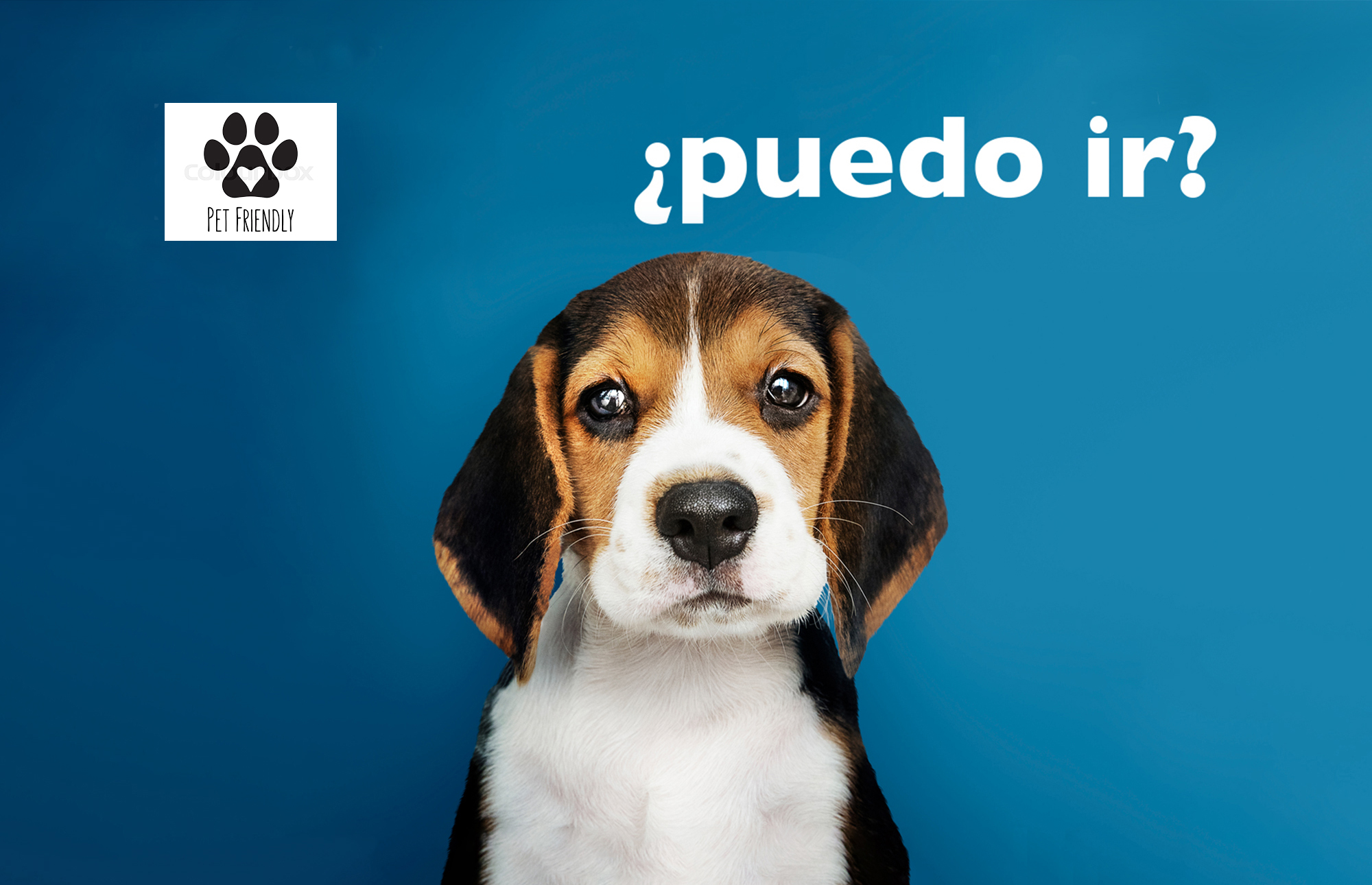 Dónde ir en Facinas con perro
